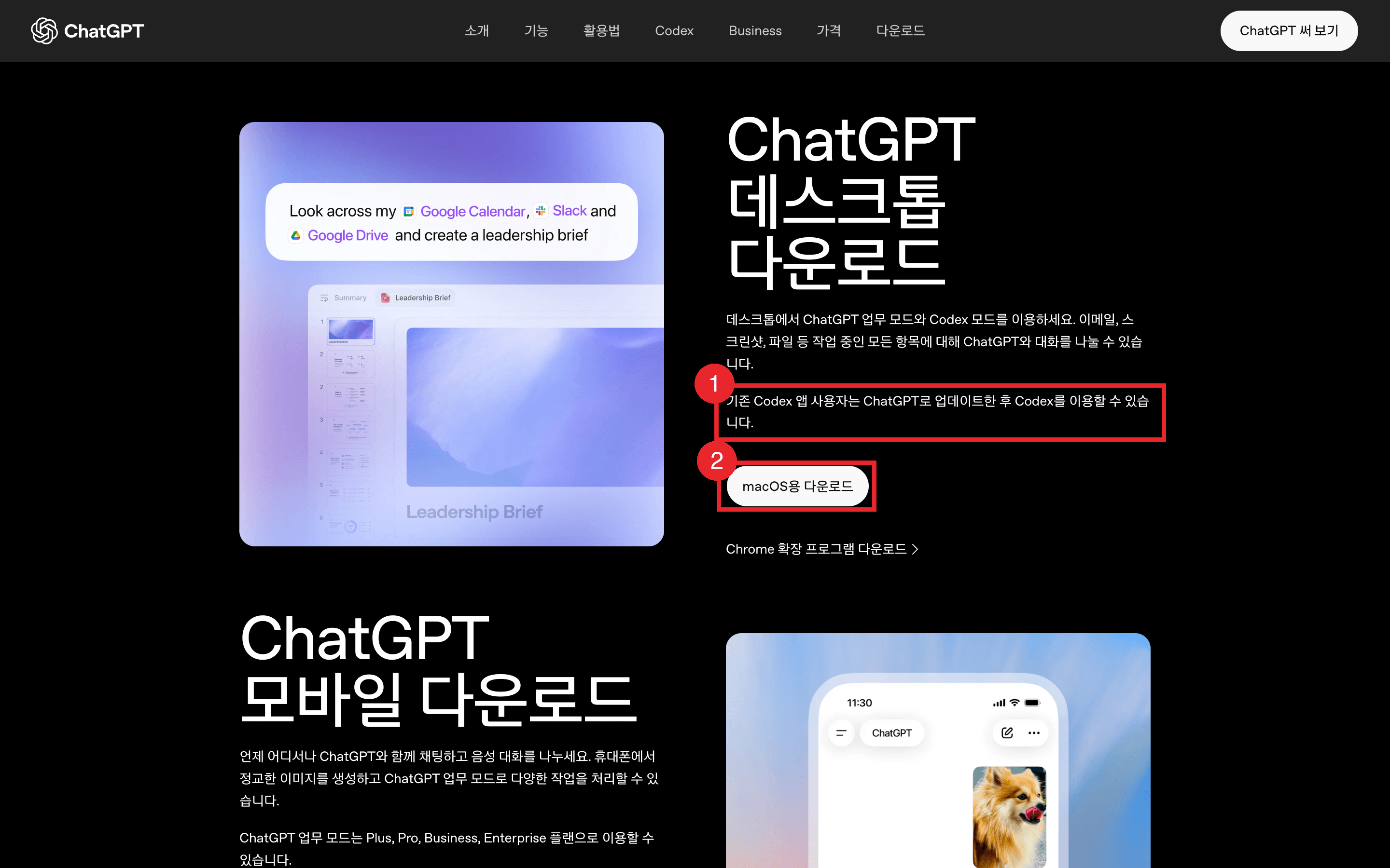 ChatGPT 다운로드 페이지. ①번에 기존 Codex 앱 사용자는 ChatGPT로 업데이트한 후 Codex를 이용할 수 있다는 안내가 적혀 있고, ②번이 macOS용 다운로드 버튼이다 (2026년 9월 5일 캡처)