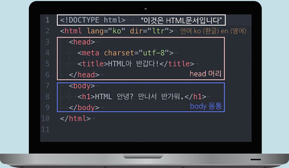 html구조